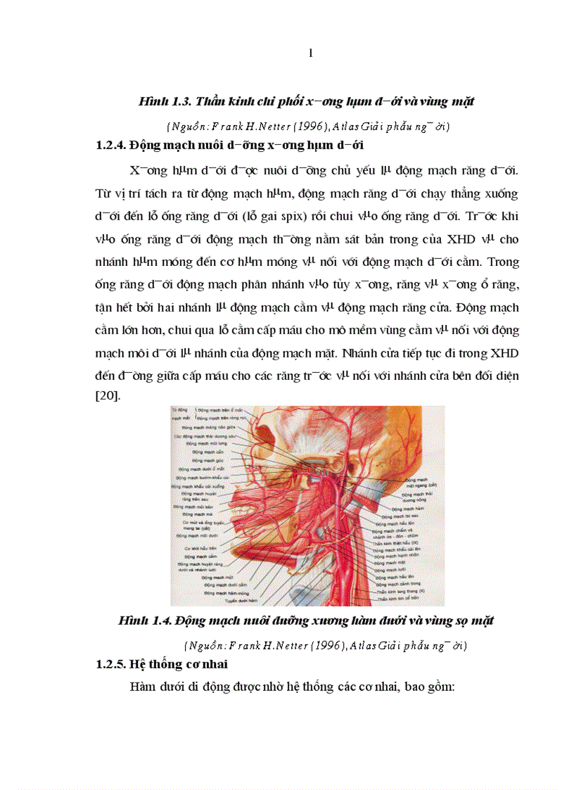 image for page Nhận xét lâm sàng X quang và kết quả điều trị kết hợp gãy xương hàm dưới bằng nẹp vít tự tiêu