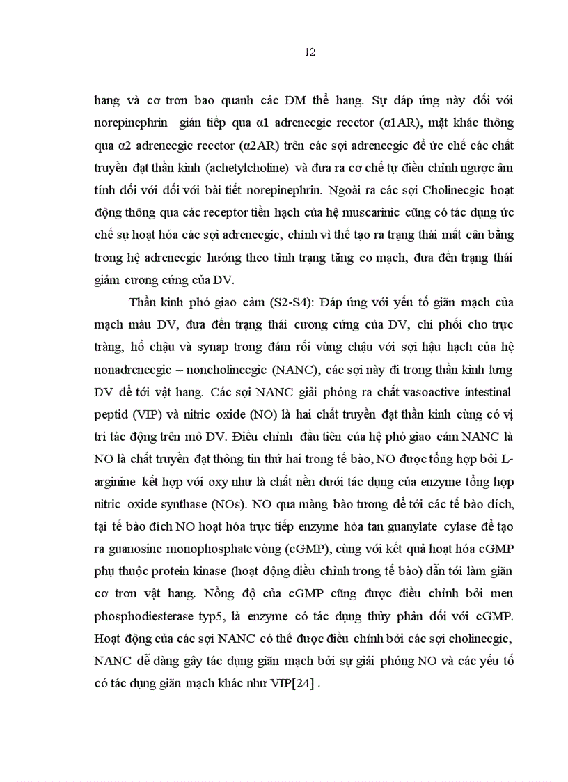 image for page Nghiên cứu tình trạng rối loạn cương dương ở bệnh nhân đái tháo đường type 2 ngoại trú tại bệnh viện Bạch Mai