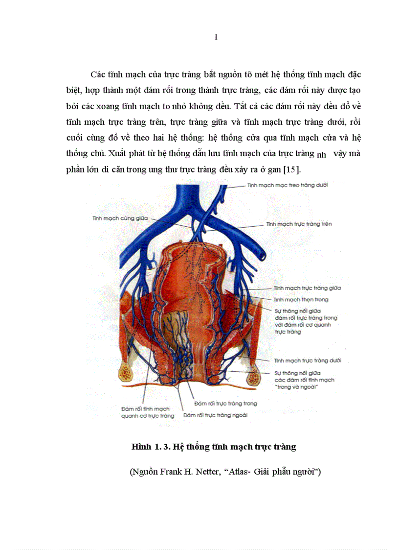 image for page Nghiên cứu mối liên quan giữa khối u với mức độ xâm lấn vào mạc treo của ung thư trực tràng