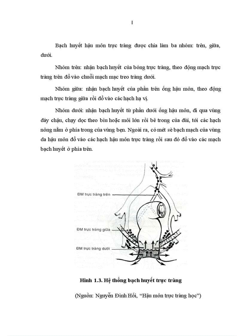 image for page Nghiên cứu mối liên quan giữa khối u với mức độ xâm lấn vào mạc treo của ung thư trực tràng