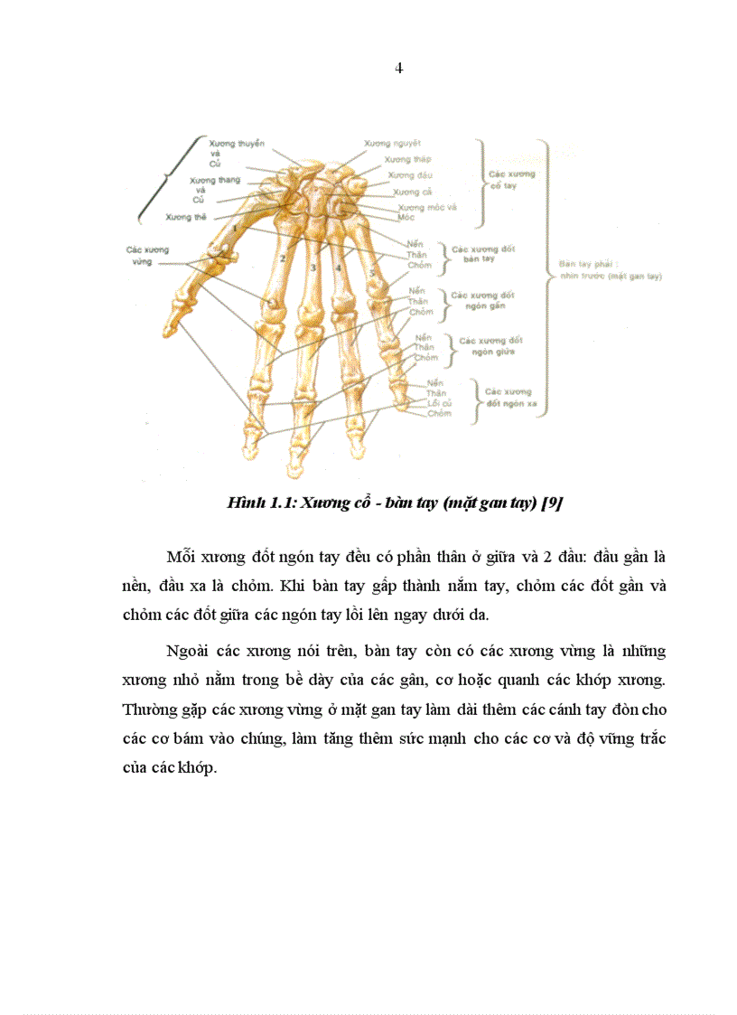 image for page Nghiên cứu đặc điểm lâm sàng và X quang của thoái hoá các khớp bàn tay theo tiêu chuẩn chẩn đoán ACR 1990