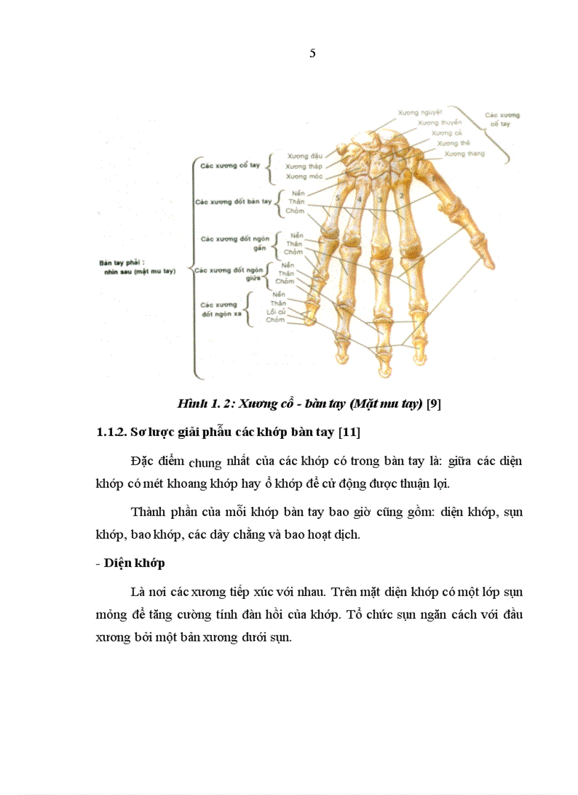 image for page Nghiên cứu đặc điểm lâm sàng và X quang của thoái hoá các khớp bàn tay theo tiêu chuẩn chẩn đoán ACR 1990