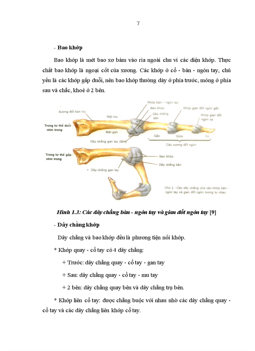 image for page Nghiên cứu đặc điểm lâm sàng và X quang của thoái hoá các khớp bàn tay theo tiêu chuẩn chẩn đoán ACR 1990