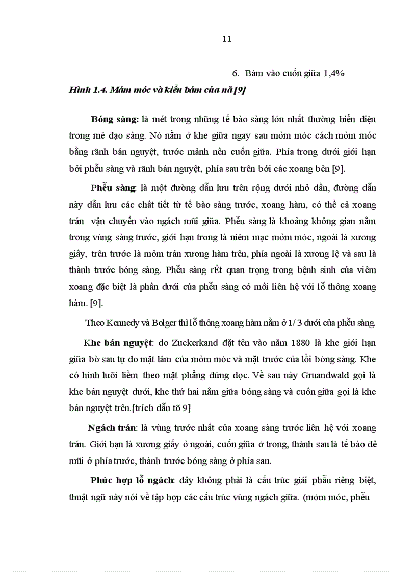 image for page Nghiên cứu hình thái lâm sàng của dị hình cuốn mũi giữa trong bệnh lý mũi xoang qua nội soi và chụp cắt lớp vi tính
