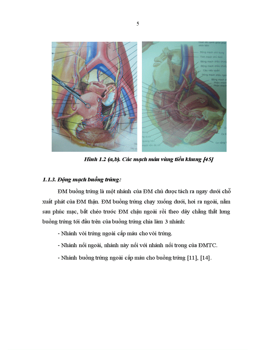 image for page Nghiên cứu áp dụng phương pháp gây tắc động mạch tử cung trong điều trị chảy máu sau đẻ 1