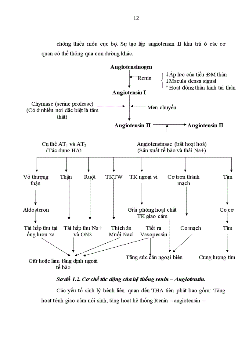 image for page Khảo sát sự biến đổi huyết áp 24 giờ ở người bình thường và bệnh nhân tăng huyết áp điều trị tại viện lão khoa trung ương