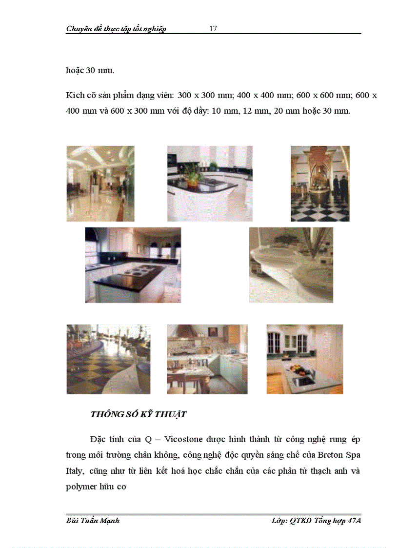 image for page Đẩy mạnh hoạt động tiêu thụ sản phẩm của công ty cổ phần Chế tác đá Bretonstone và Terastone Việt Nam 1