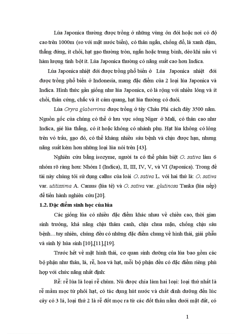 image for page Nghiên cứu tạo cây lúa chuyển gen Chitinase kháng bệnh đạo ôn nhờ vi khuẩn Agrobacterium tumefaciens 1