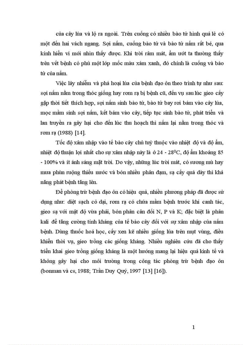 image for page Nghiên cứu tạo cây lúa chuyển gen Chitinase kháng bệnh đạo ôn nhờ vi khuẩn Agrobacterium tumefaciens 1