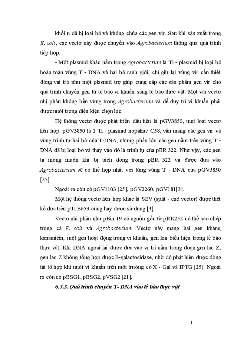 image for page Nghiên cứu tạo cây lúa chuyển gen Chitinase kháng bệnh đạo ôn nhờ vi khuẩn Agrobacterium tumefaciens 1