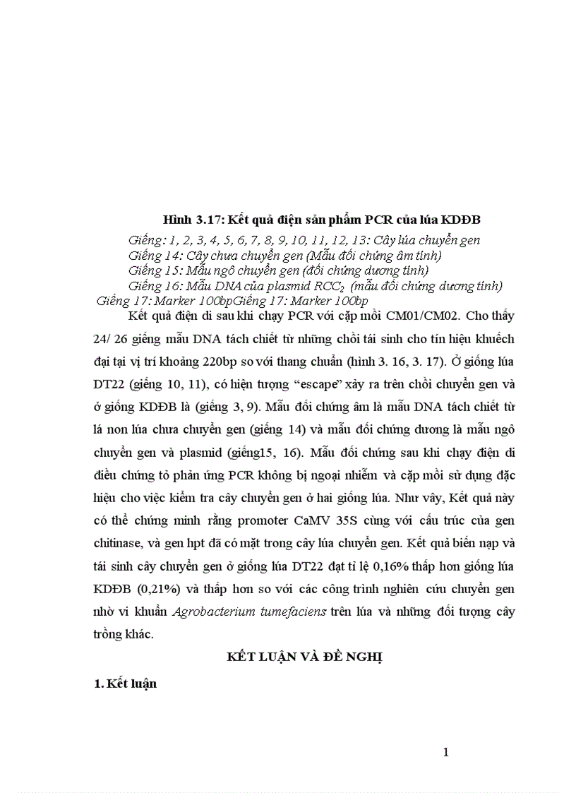 image for page Nghiên cứu tạo cây lúa chuyển gen Chitinase kháng bệnh đạo ôn nhờ vi khuẩn Agrobacterium tumefaciens 1