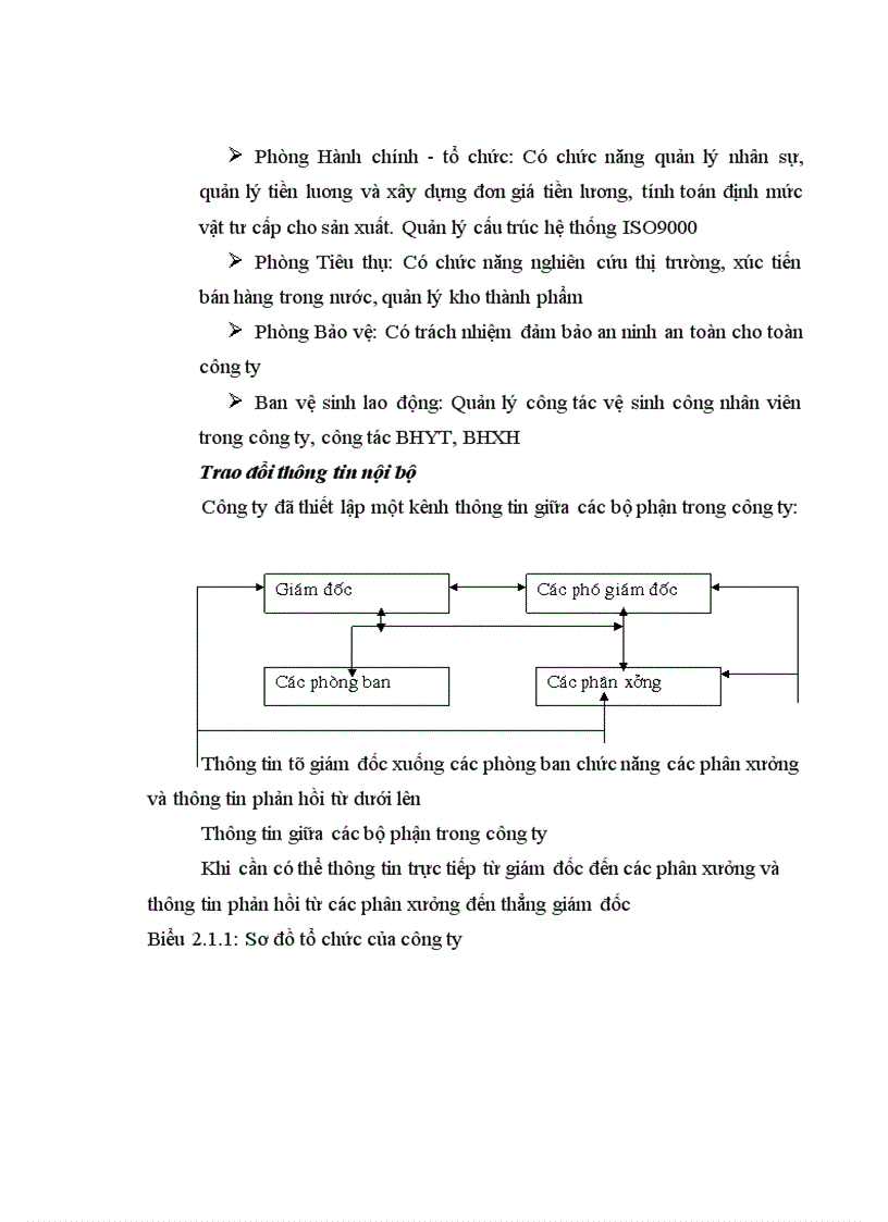 image for page Thực trạng hoạt động xuất nhập khẩu của công ty ziviha company trong những năm gần đây