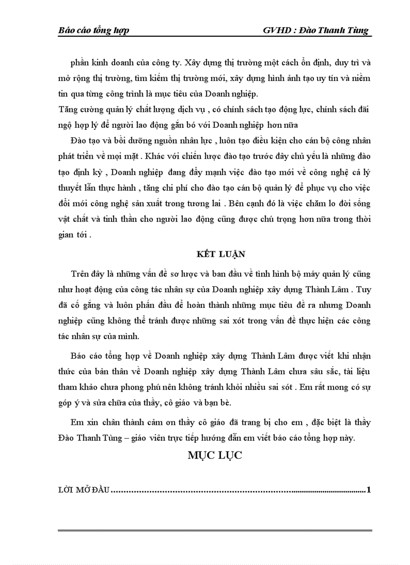 image for page Báo cáo tổng hợp về Doanh nghiệp xây dựng Thành Lâm