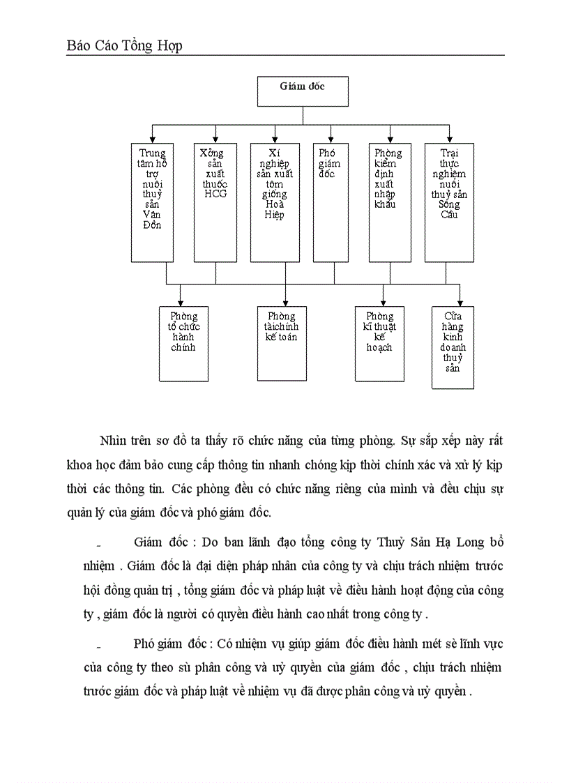 image for page Báo cáo thực tập tổng hợp tại Công ty dịch vụ nuôi trồng thuỷ sản trung ương 1