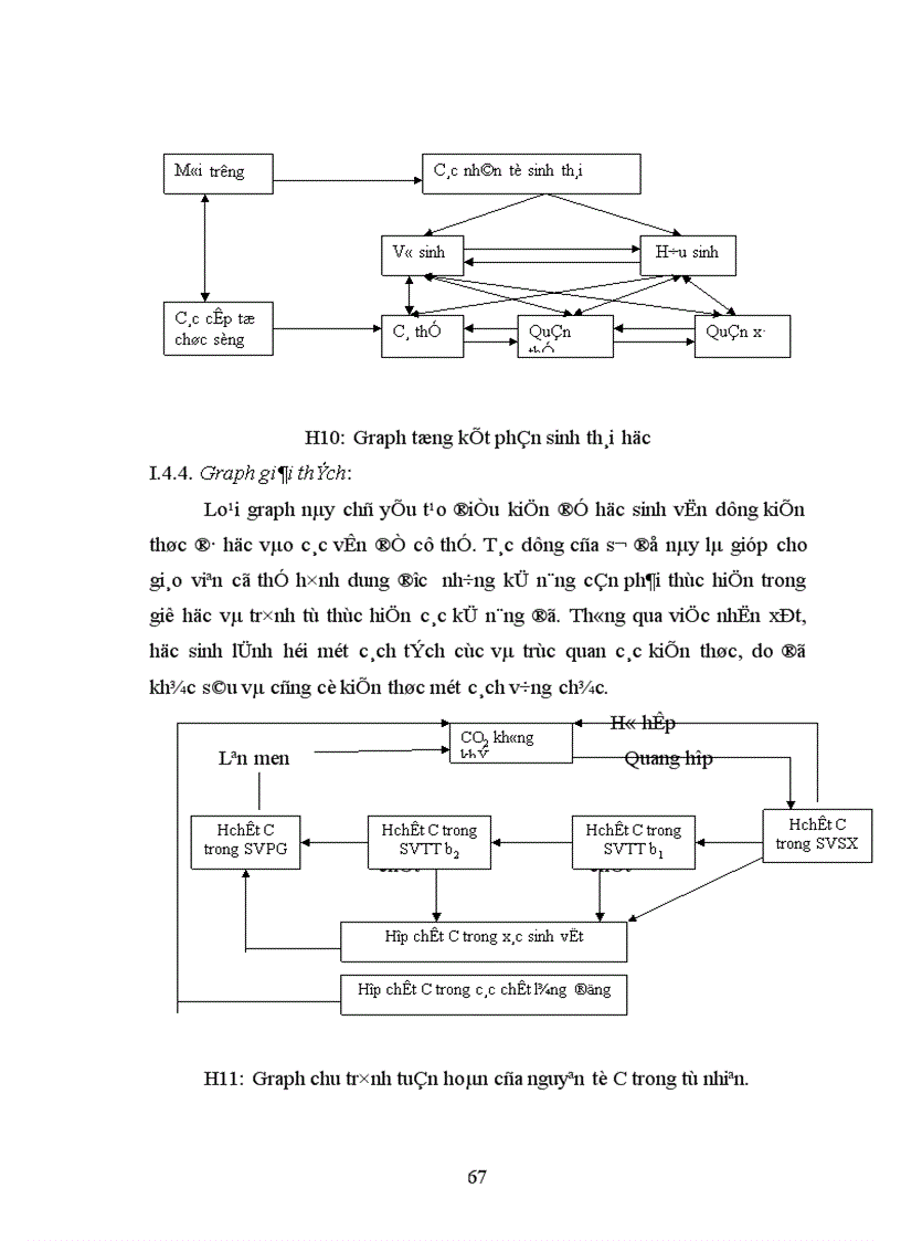image for page sử dụng phương pháp Graph trong dạy học phần sinh thái học THPT
