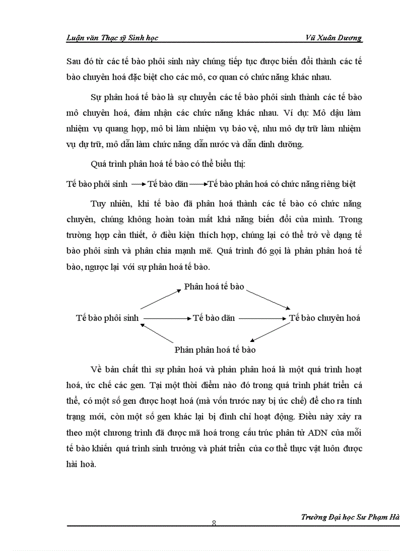 image for page Nghiên cứu ảnh hưởng của liều chiếu xạ tia gamma nguồn Co60 vào giai đoạn callus và giai đoạn hạt nảy mầm của một số dòng lúa có triển vọng 1