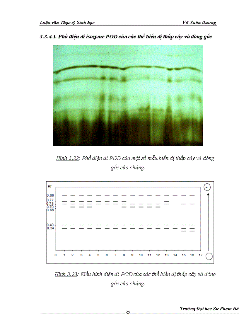 image for page Nghiên cứu ảnh hưởng của liều chiếu xạ tia gamma nguồn Co60 vào giai đoạn callus và giai đoạn hạt nảy mầm của một số dòng lúa có triển vọng 1