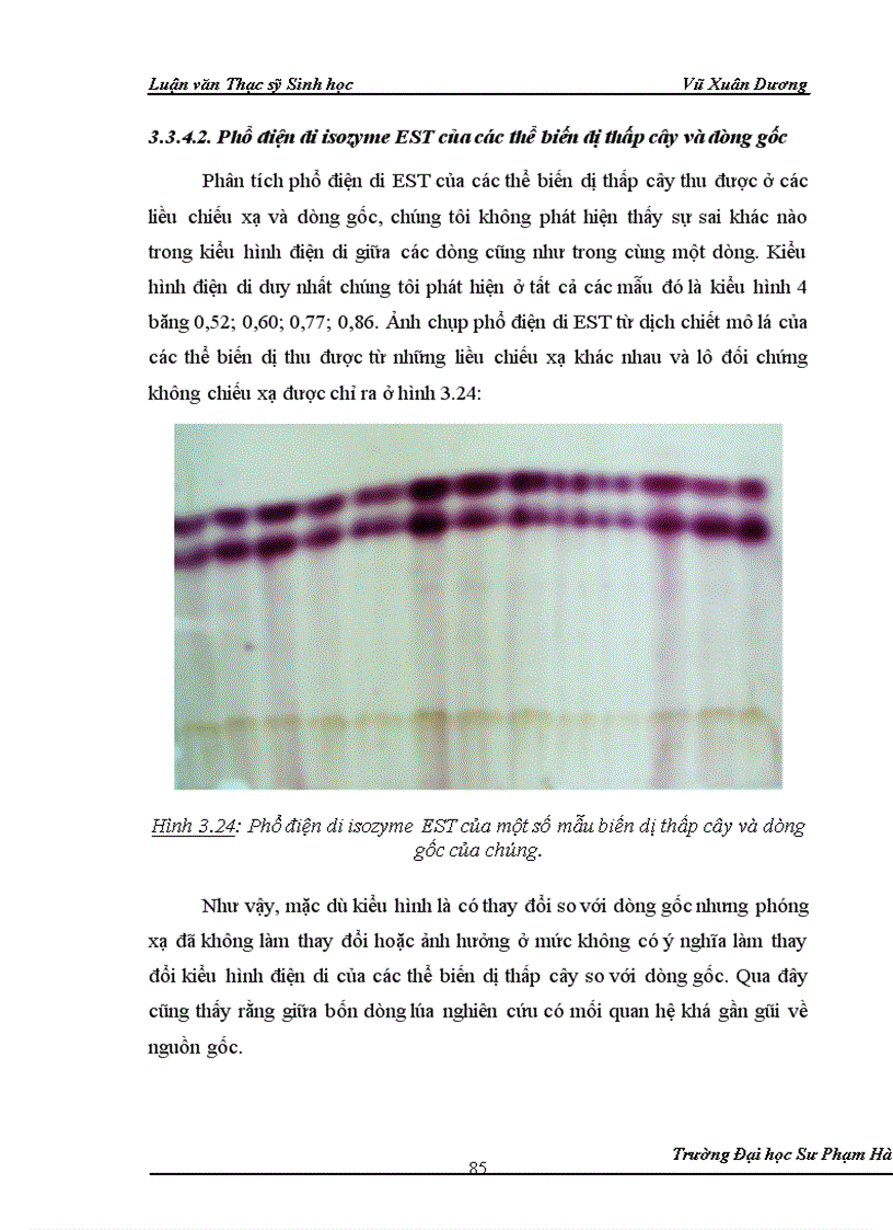 image for page Nghiên cứu ảnh hưởng của liều chiếu xạ tia gamma nguồn Co60 vào giai đoạn callus và giai đoạn hạt nảy mầm của một số dòng lúa có triển vọng 1