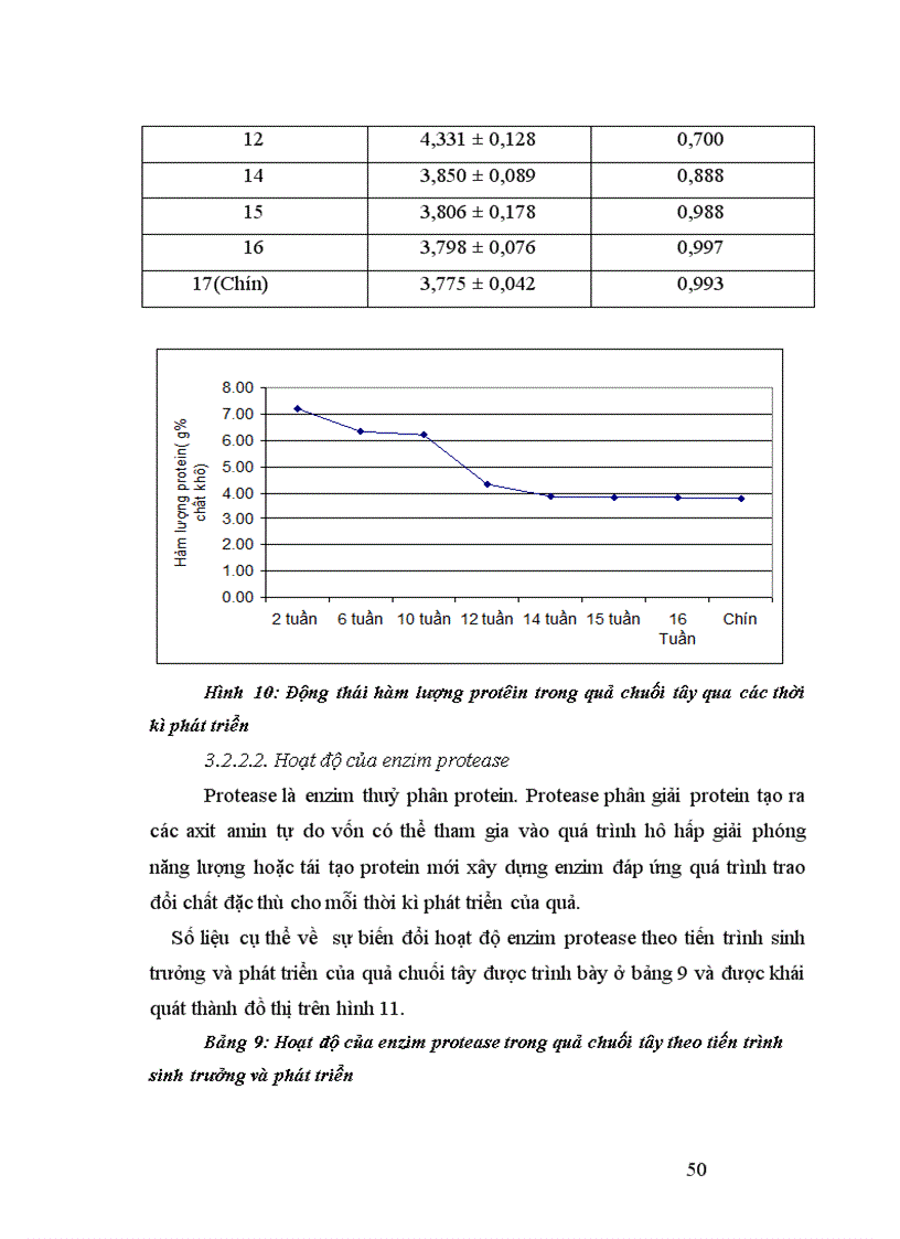 image for page Nghiên cứu động thái một số chỉ tiêu sinh lý hoá sinh theo tiến trình sinh trưởng phát triển của quả chuối tây tại huyện Thanh Trì Hà Nội 1