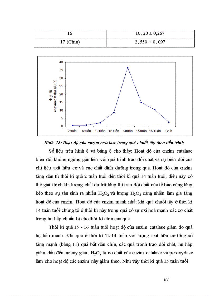 image for page Nghiên cứu động thái một số chỉ tiêu sinh lý hoá sinh theo tiến trình sinh trưởng phát triển của quả chuối tây tại huyện Thanh Trì Hà Nội 1