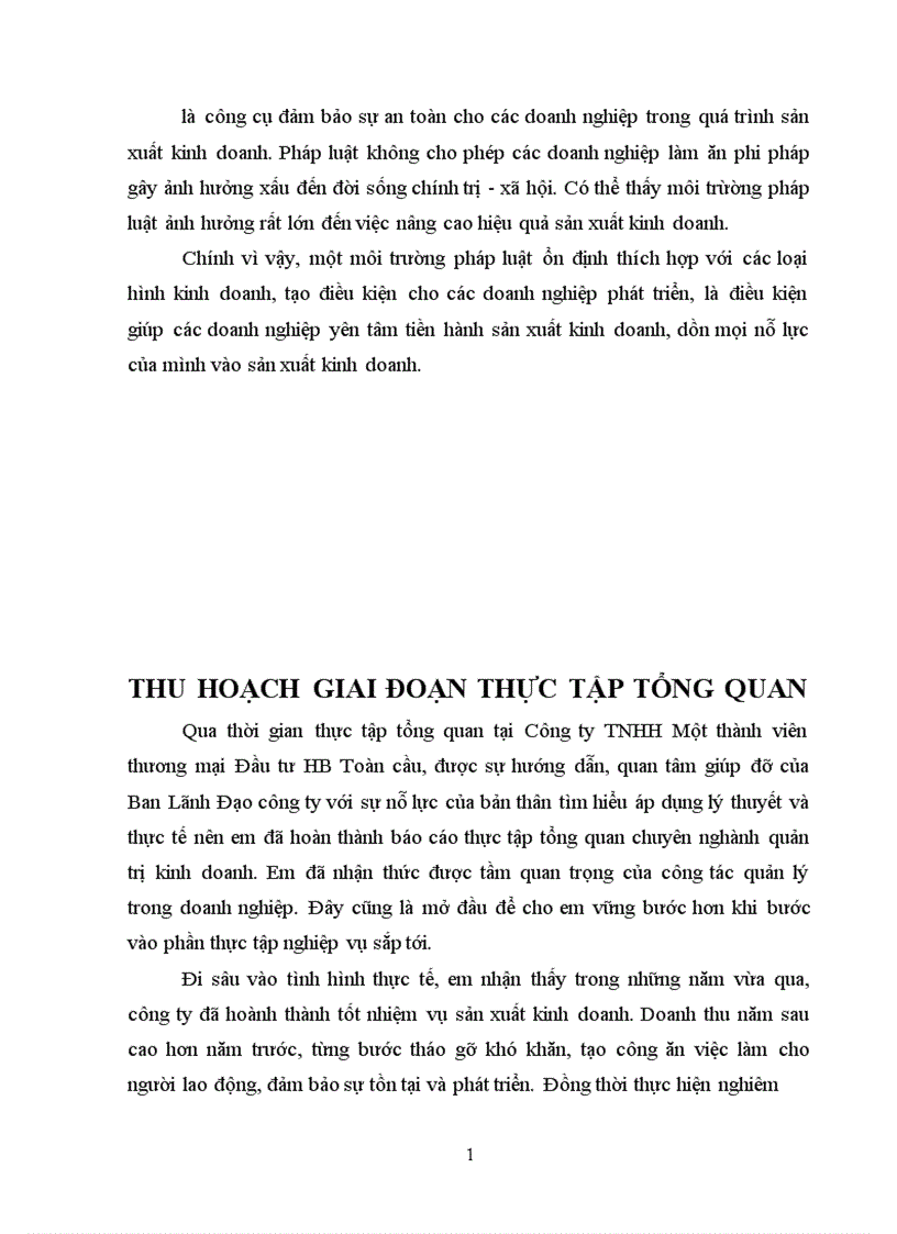 image for page Báo cáo thực tập tổng hợp tại Công ty TNHH Một thành viên Thương mại Đầu tư HB toàn cầu