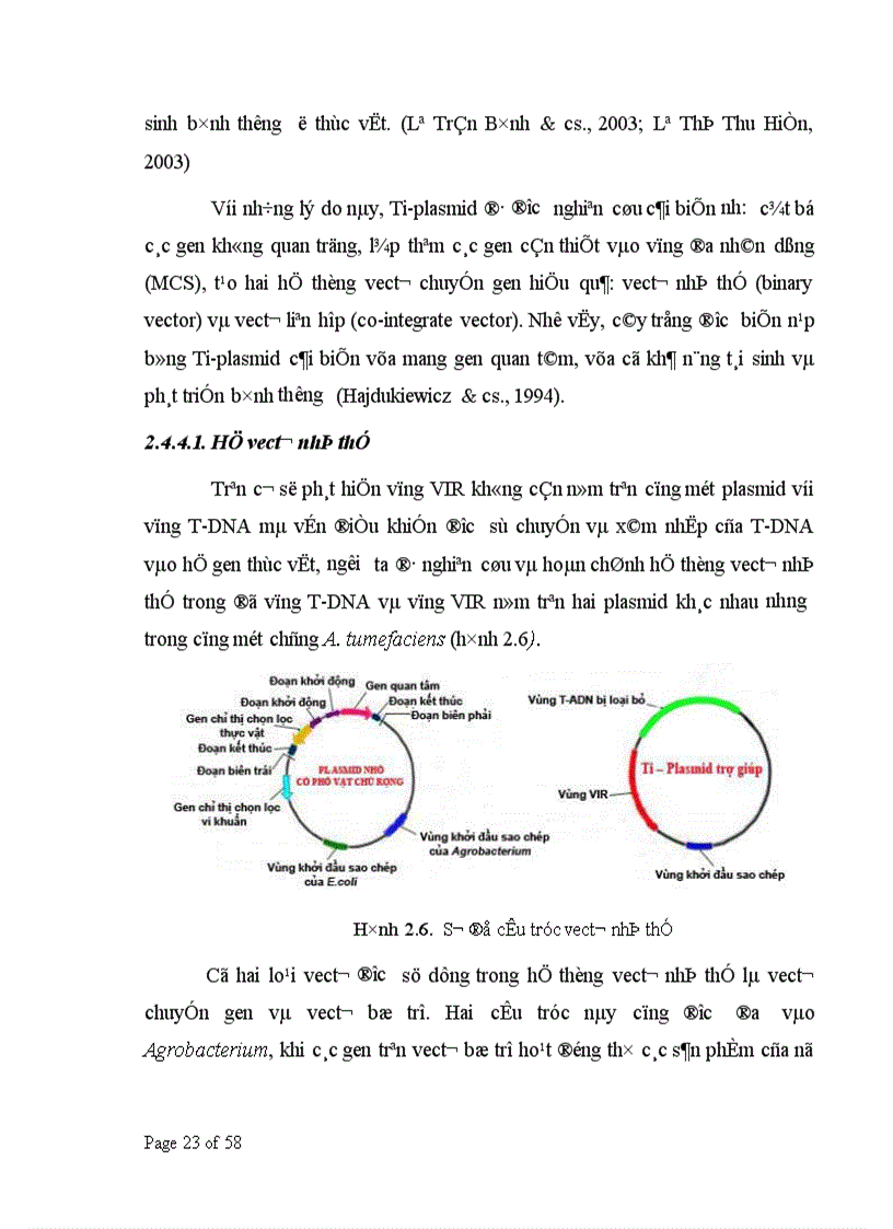image for page Nghiên cứu xây dựng quy trình chuyển gen vào bèo tấm Spirodela polyrrhiza thông qua Agrobacterium tumefaciens