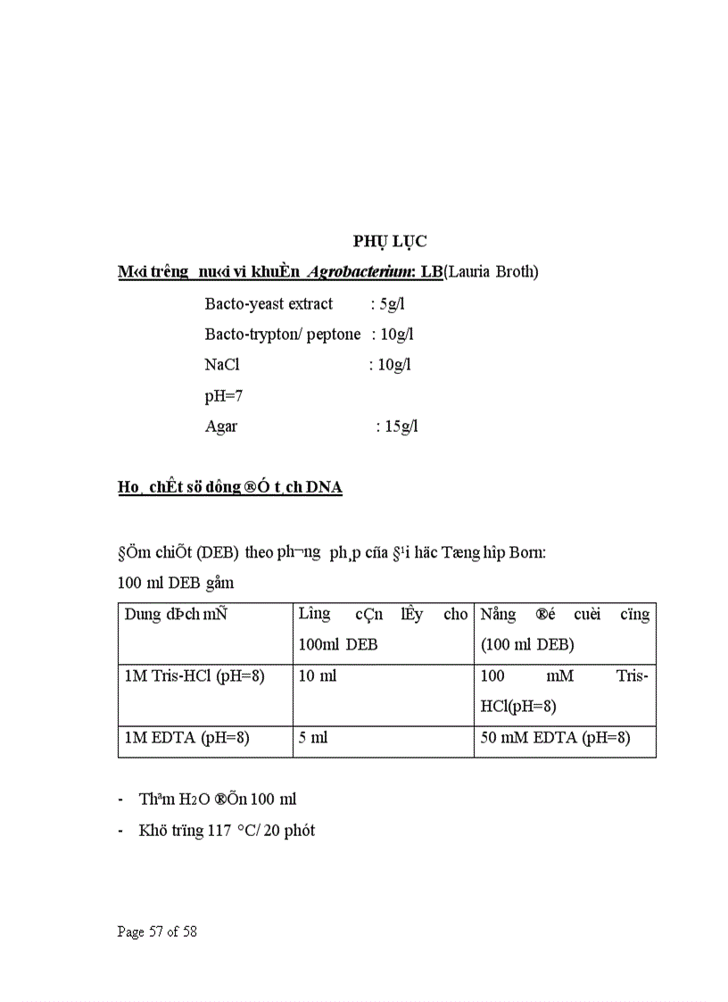 image for page Nghiên cứu xây dựng quy trình chuyển gen vào bèo tấm Spirodela polyrrhiza thông qua Agrobacterium tumefaciens