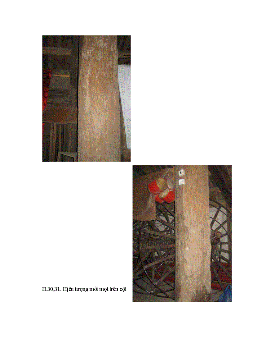 image for page Tìm hiểu di tích đình Giang Xá