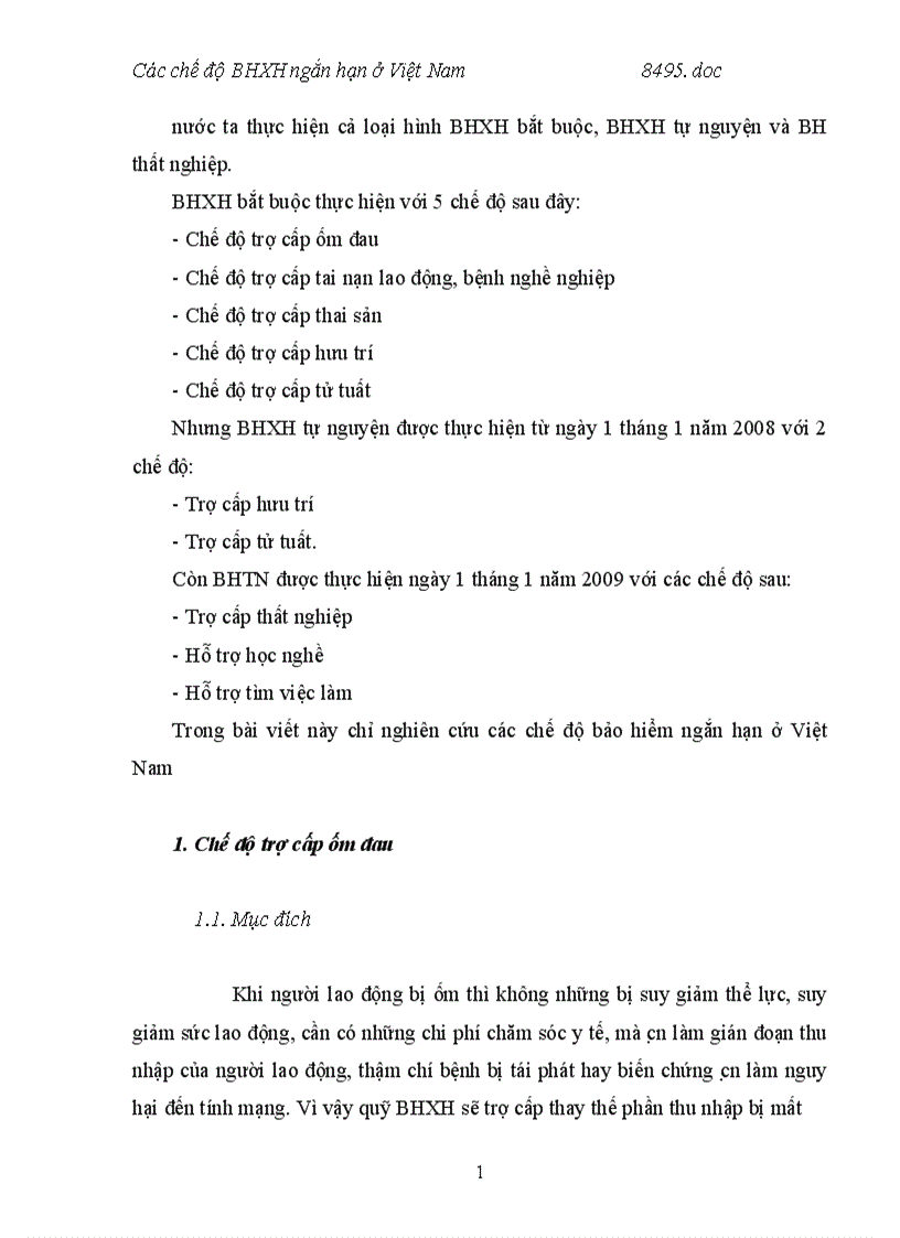 Các chế độ BHXH ngắn hạn ở Việt Nam 1