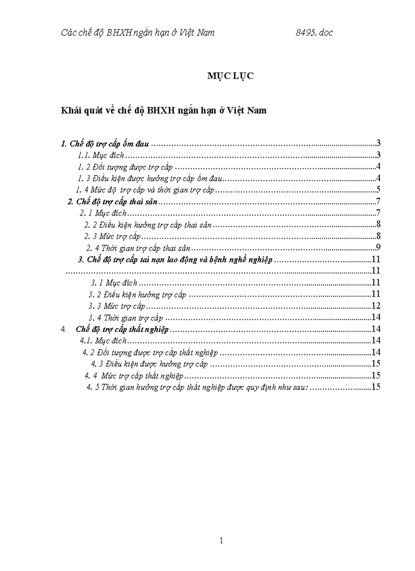 image for page Các chế độ BHXH ngắn hạn ở Việt Nam 1