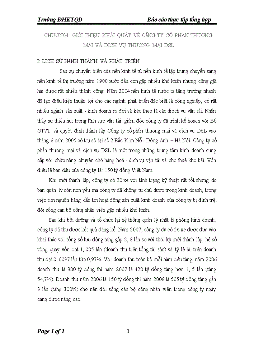 image for page Báo cáo thực tập tổng hợp Công ty cổ phần thương mại và dịch vụ DSL