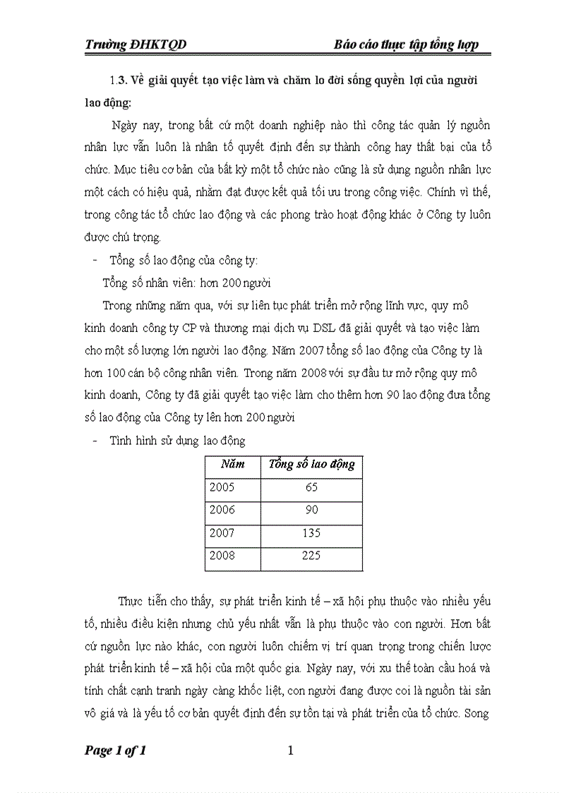 image for page Báo cáo thực tập tổng hợp Công ty cổ phần thương mại và dịch vụ DSL