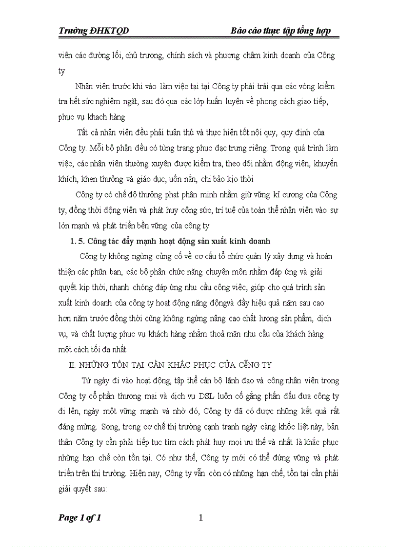 image for page Báo cáo thực tập tổng hợp Công ty cổ phần thương mại và dịch vụ DSL