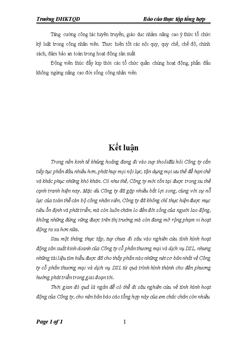 image for page Báo cáo thực tập tổng hợp Công ty cổ phần thương mại và dịch vụ DSL