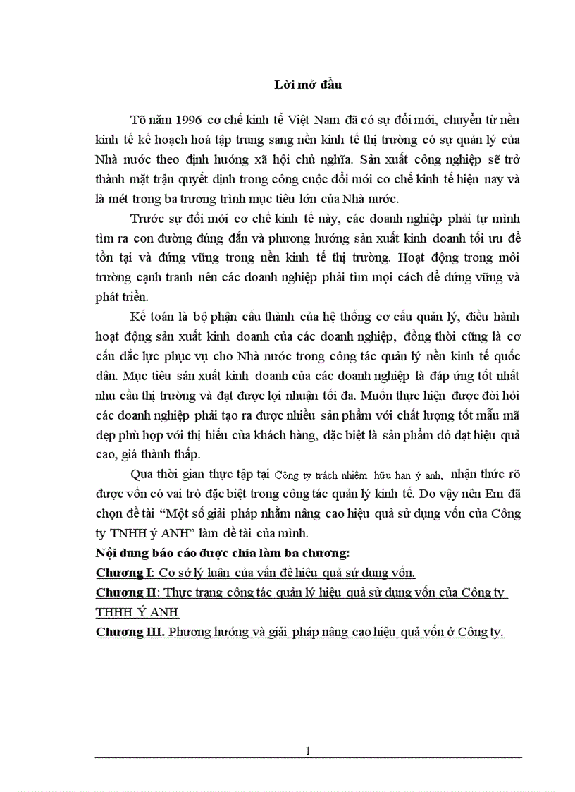 image for page Một số giải pháp nhằm nâng cao hiệu quả sử dụng vốn của Công ty TNHH ý ANH 1