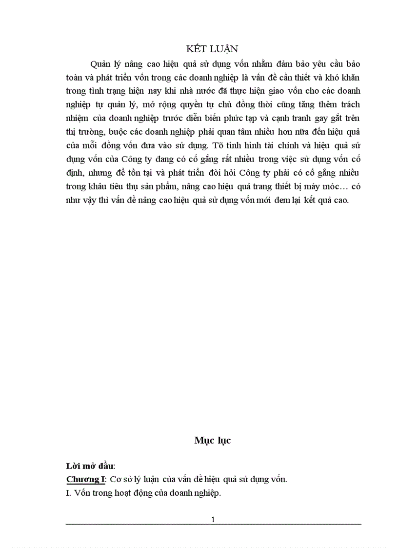 image for page Một số giải pháp nhằm nâng cao hiệu quả sử dụng vốn của Công ty TNHH ý ANH 1