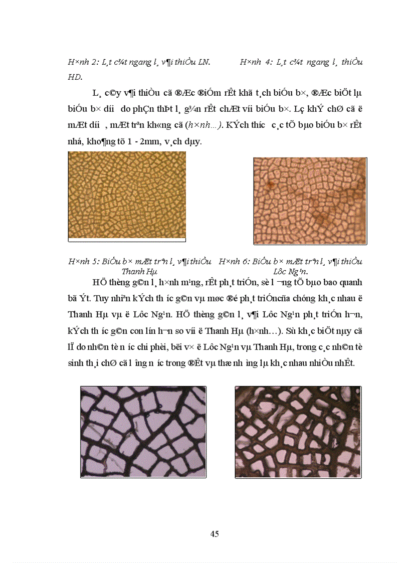 image for page Nghiên cứu ảnh hưởng của một số nhân tố sinh thái tới năng suất và chất lượng của cây vải thiều litchichinensis Sonn 1