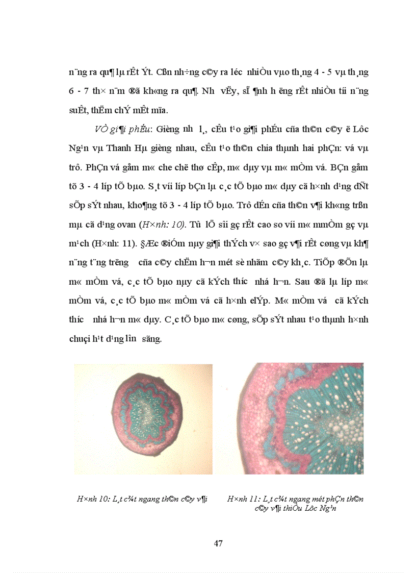 image for page Nghiên cứu ảnh hưởng của một số nhân tố sinh thái tới năng suất và chất lượng của cây vải thiều litchichinensis Sonn 1