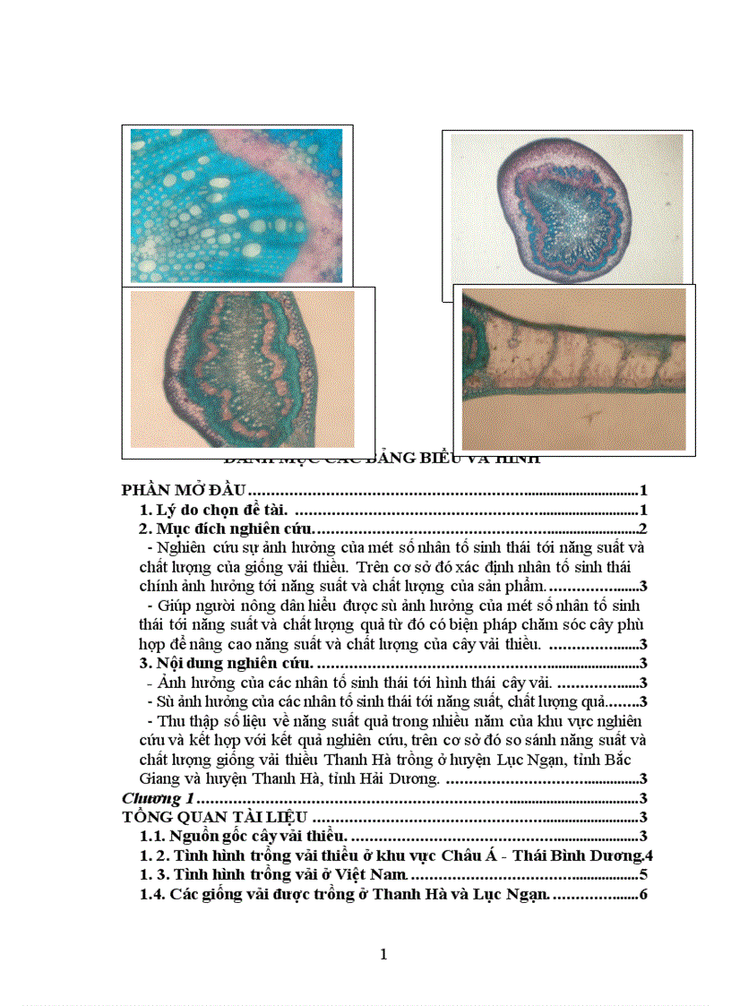 image for page Nghiên cứu ảnh hưởng của một số nhân tố sinh thái tới năng suất và chất lượng của cây vải thiều litchichinensis Sonn 1