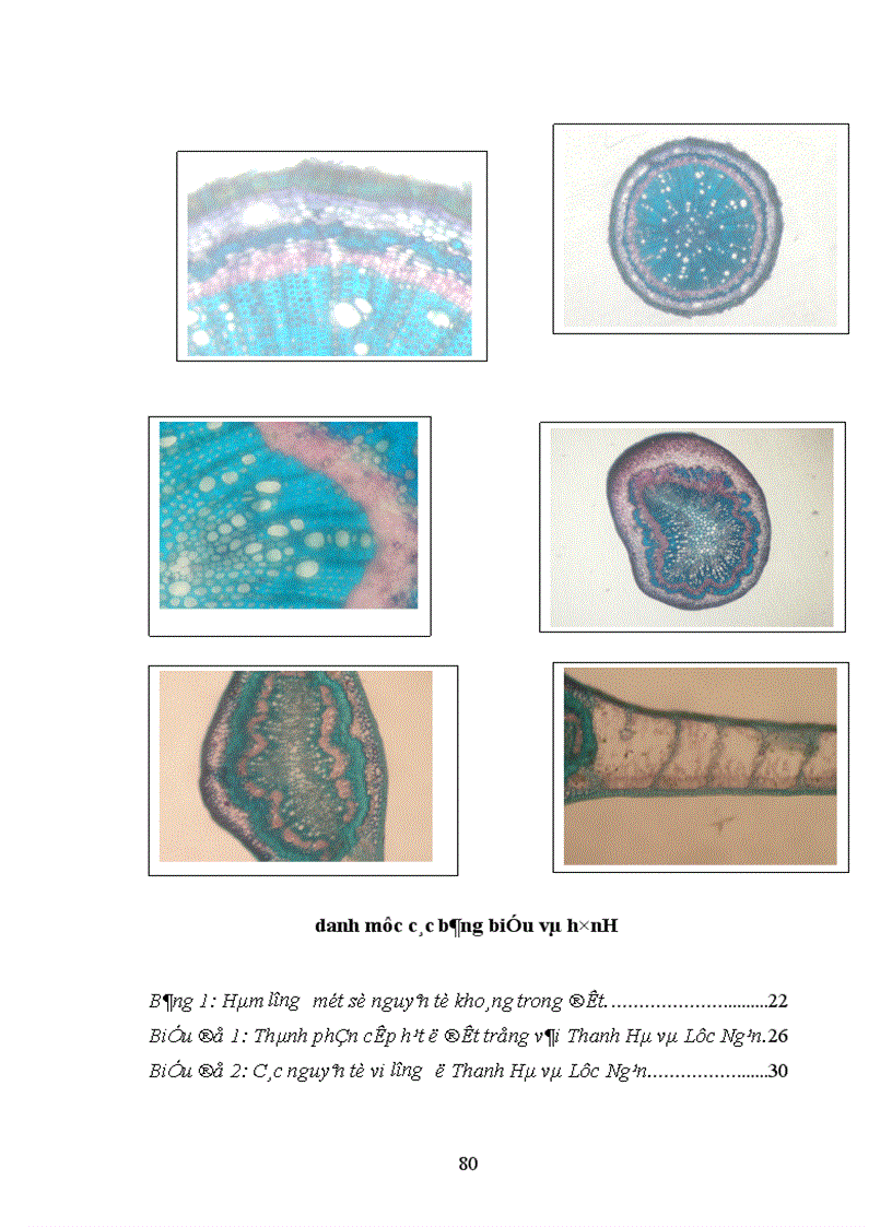 image for page Nghiên cứu ảnh hưởng của một số nhân tố sinh thái tới năng suất và chất lượng của cây vải thiều litchichinensis Sonn 1