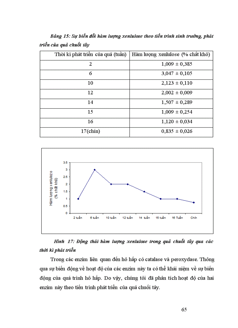 image for page Nghiên cứu động thái một số chỉ tiêu sinh lý hoá sinh theo tiến trình sinh trưởng phát triển của quả chuối tây tại huyện Thanh Trì Hà Nội 1