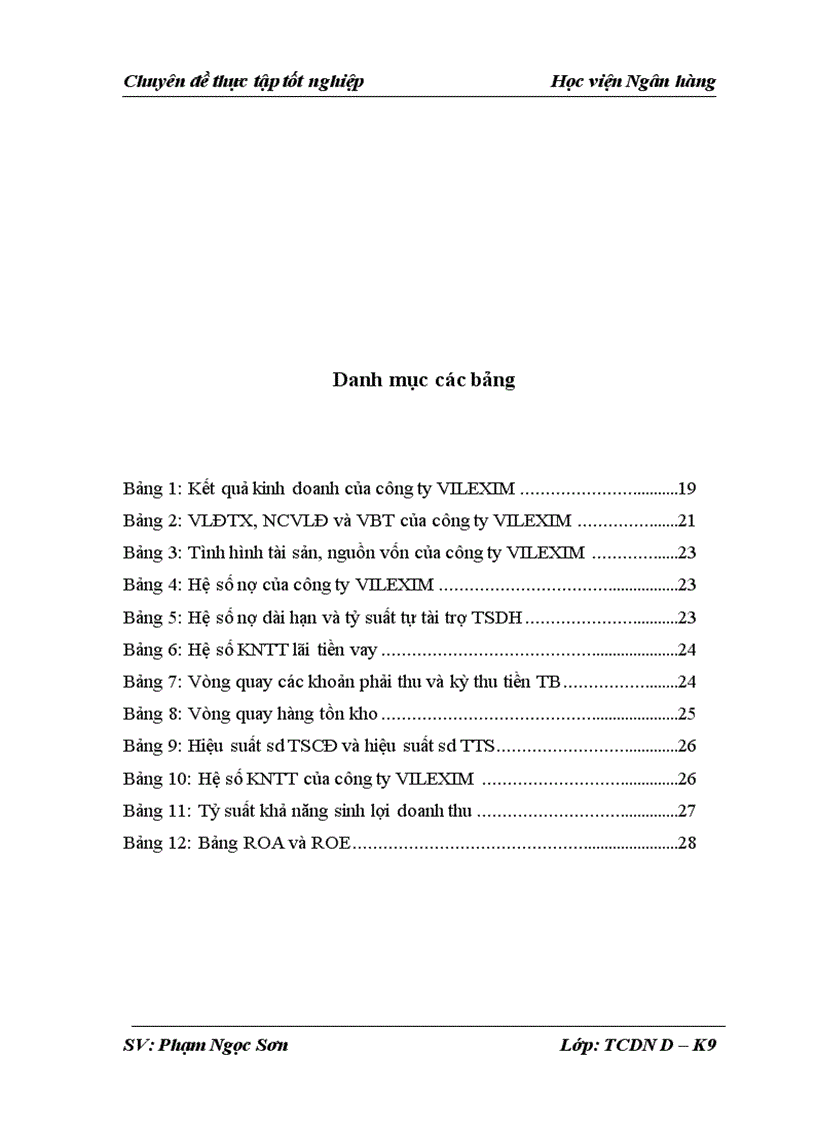 image for page Phân tích tình hình tài chính và các giải pháp tài chính nâng cao hiệu quả sử dụng vốn tại Công ty Cổ phần Xuất nhập khẩu và hợp tác đầu tư VILEXIM 1