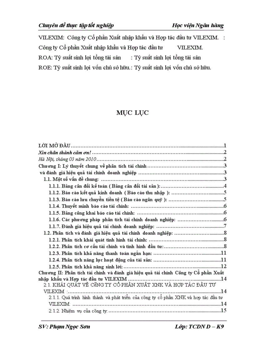 image for page Phân tích tình hình tài chính và các giải pháp tài chính nâng cao hiệu quả sử dụng vốn tại Công ty Cổ phần Xuất nhập khẩu và hợp tác đầu tư VILEXIM 1