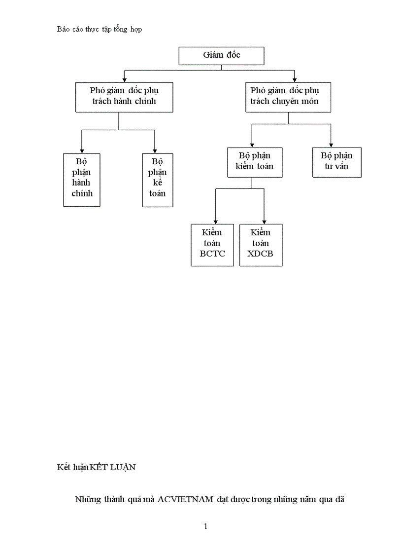 image for page Báo cáo thực tập tổng hợp tại công ty TNHH Tài chính và Kiểm toán Việt Nam