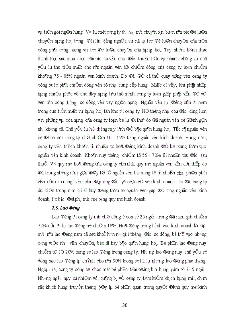 image for page Biện pháp nâng cao hiệu quả kinh doanh các mặt hàng chủ lực tại công ty TNHH CNP Minh Quân Chương I 1