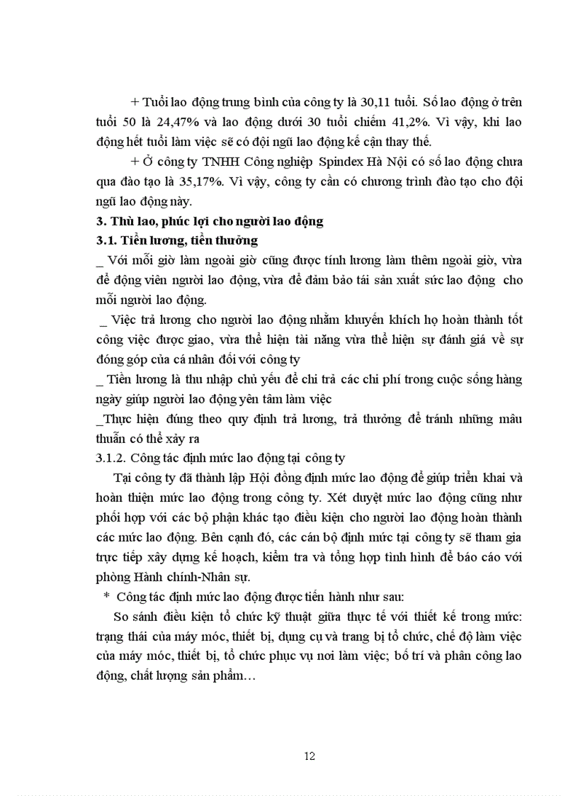image for page Thực trạng công tác đào tạo và phát triển nhân sự của Công Ty TNHH Công Nghiệp Spindex Hà Nội 1