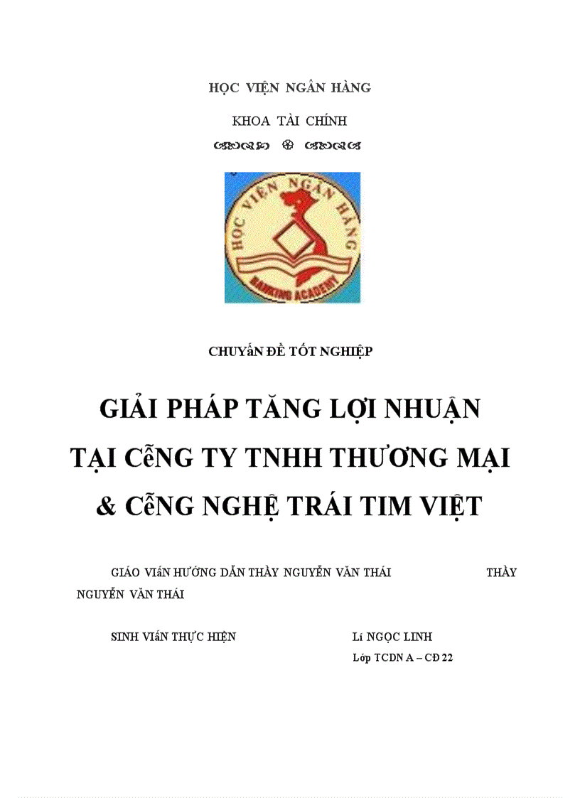 Giải pháp tăng lợi nhuận tại công ty TNHH thương mại và công nghệ Trái Tim Việt 1