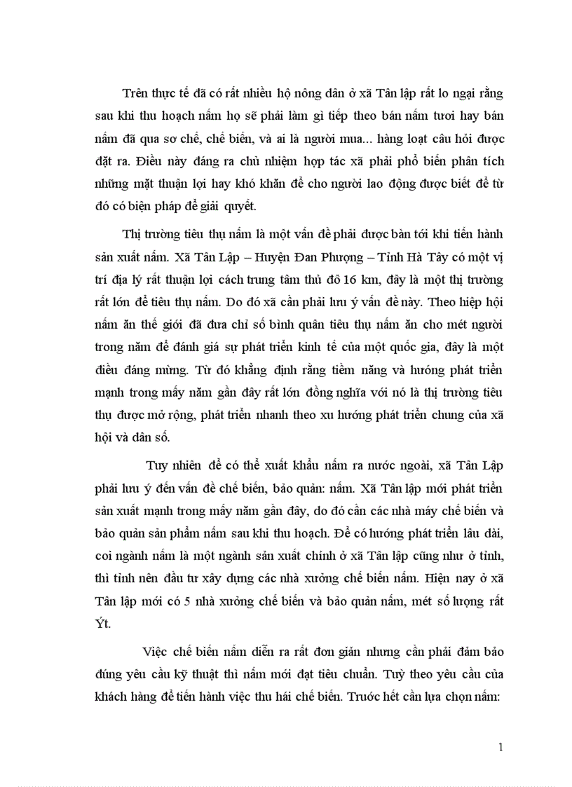 image for page Phân tích hiệu quả kinh tế của sản xuất nấm ở xã Tân Lập huyện Đan Phượng tỉnh Hà Tây 1