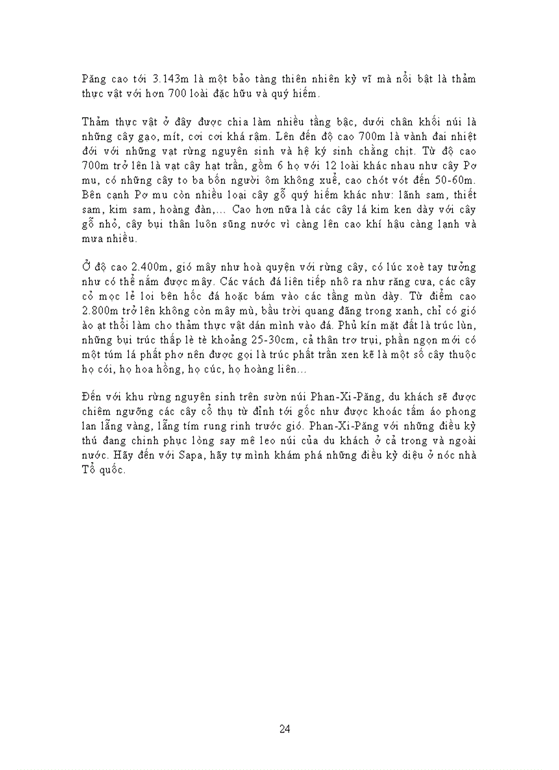 image for page Báo cáo thực tập tại Khu du lịch Sapa