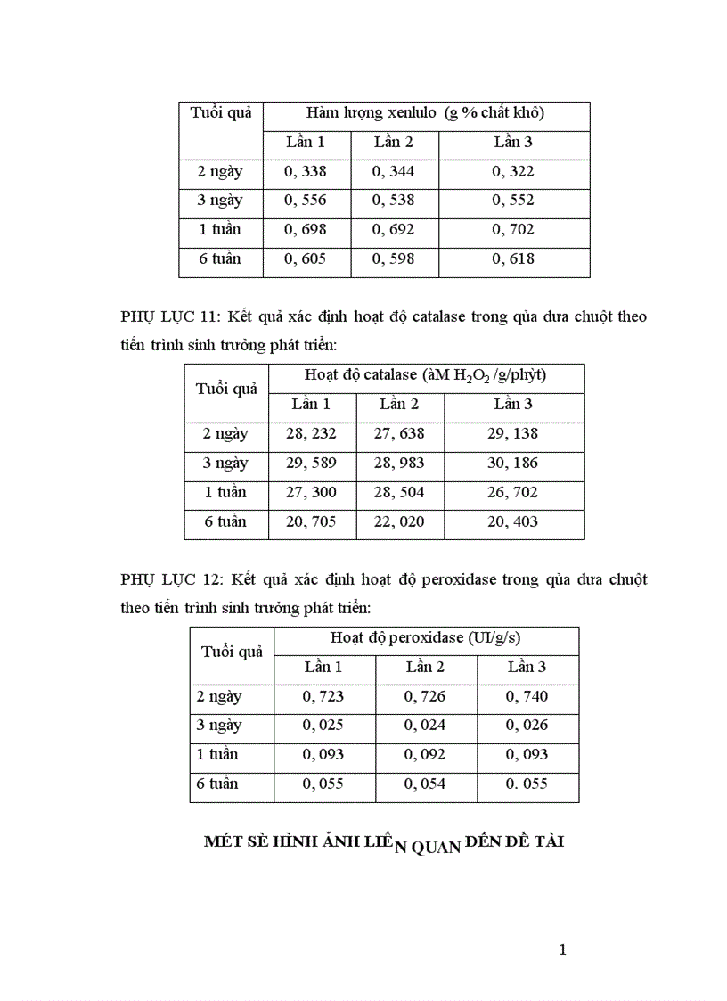 image for page Động thái một số chỉ tiêu sinh li hóa sinh theo tiến trình phát triển của quả dưa chuột Cucumis sativus L tại Sóc Sơn Hà Nội 1